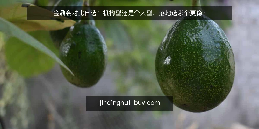 金鼎会对比自选:机构型还是个人型,落地选哪个更稳? — 为什么现在要重审金鼎会落地模式 配图